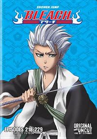 Bleach Box Set 15